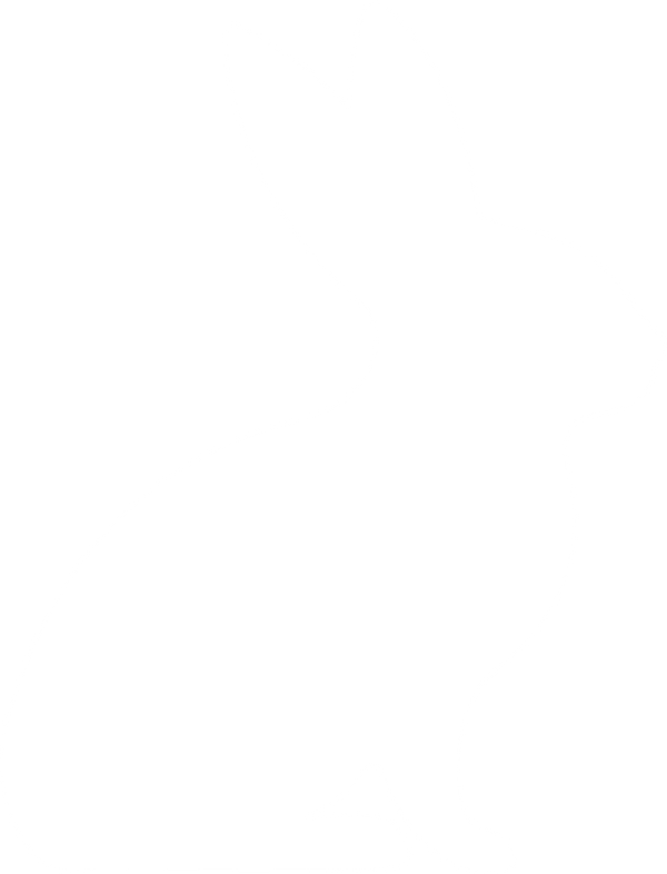 White Rabbit